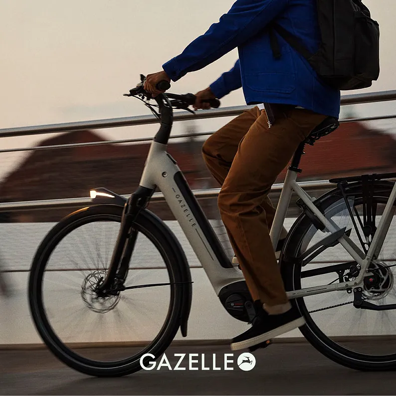 Gazelle
